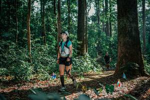 BIB: 
                            <button type="button" onclick="openModal(26130403)" class="btn btn-primary btn-sm float-right btn-popup" data-toggle="modal" data-target=".modal-high-quality">
                        <i class="fas fa-shopping-cart"></i> Add to Cart
                    </button>
                                            <button type="button" onclick="isThisMe(26130403, true)" class="btn btn-success btn-sm float-right btn-popup btn-isme hidden" data-toggle="tooltip" data-placement="bottom" title="นี่คือรูปของคุณใช่ไหม คลิกที่นี่เพื่อเอาเข้าอัลบั้ม">
                        <i class="fas fa-plus"></i> Add to album
                    </button>
                    <button type="button" onclick="isThisMe(26130403, false)" class="btn btn-warning btn-sm float-right btn-popup btn-isnotme hidden">
                        <i class="fas fa-ban"></i> Remove from album
                    </button>